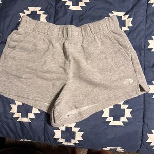 The North Face Light Gray Fleece Shorts